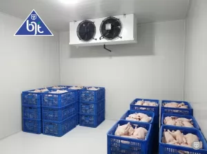 Cold Storage dengan Aplikasi Freezer Kapasitas 50 Ton dan 25 Ton